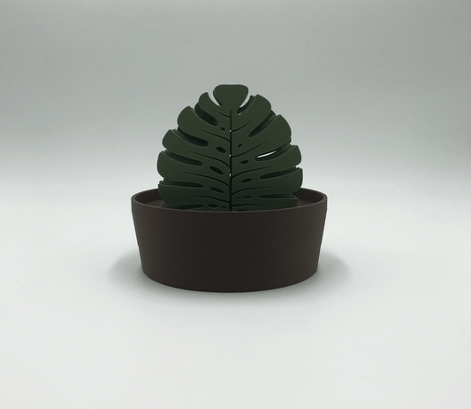 Set de Posavasos Monstera con Maceta - Moldea Estudio