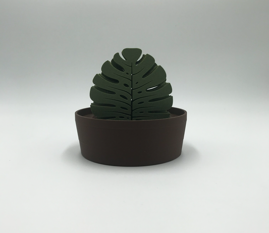 Set de Posavasos Monstera con Maceta