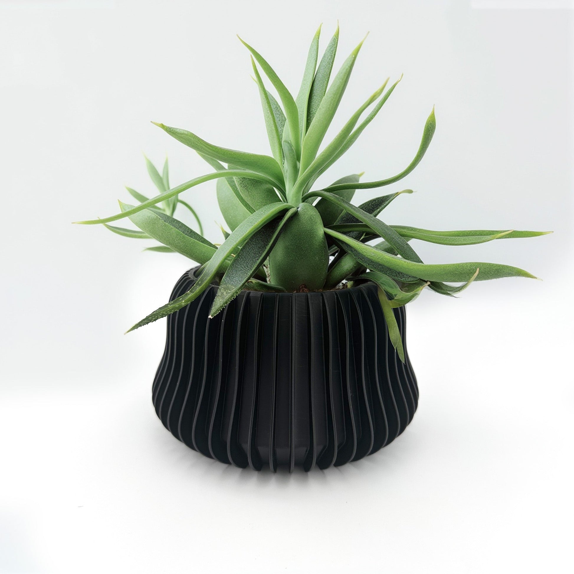 Modern Decorative Planter - Altea - Moldea Estudio