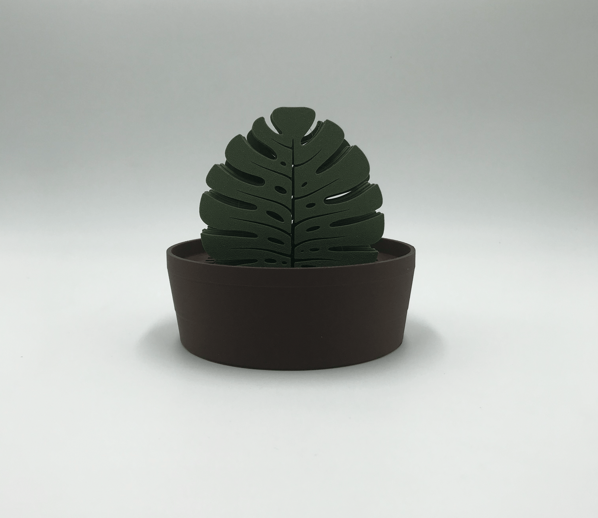 Set de Posavasos Monstera con Maceta - Moldea Estudio
