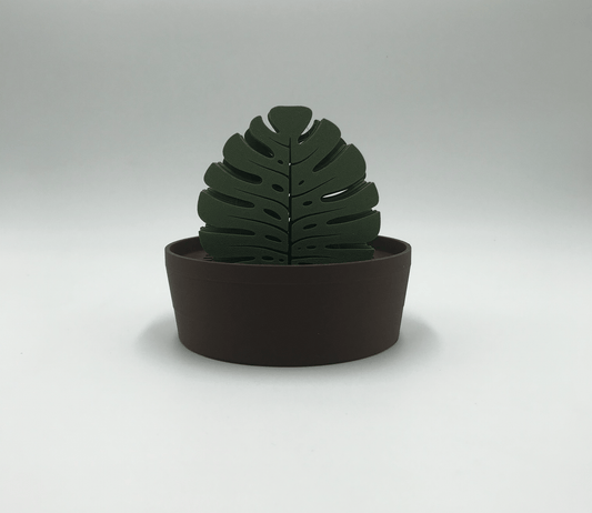 Set de Posavasos Monstera con Maceta - Moldea Estudio